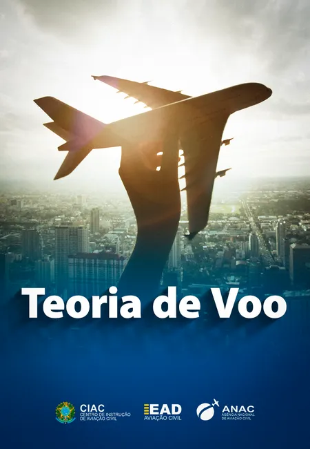 teoria-de-voo.webp